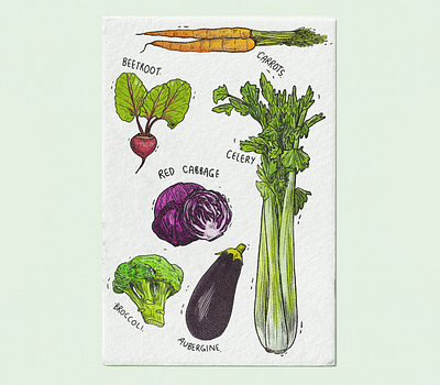 Vegetable Medley book illustration children illustration drawing healthy illustration painting resource snacks teaching vegetable vegetables watercolor