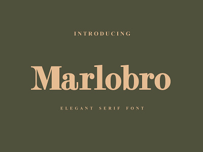 Marlobro Font serif