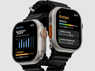 Dompet 💵 - Money Manager Watch Face app apple watch chart clean clock components deisgn finance human interface modular productivity ui ux wallet watch watchface watchos widget