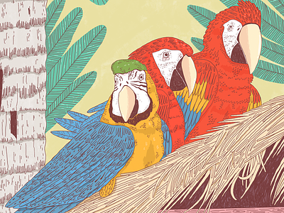 Guacamayas Illustration Art Print 2d birds design drawing entrepreneurship handrawing home decoration illustration illustrator online shop pattern design print procreate textile design