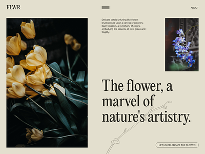 FLWR. Webpage presentation. art composition design flower illustration nature photos typography ui web website