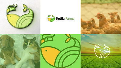 Branding: Kotila Farms brandidentity branding casestudy design illustration logo vector