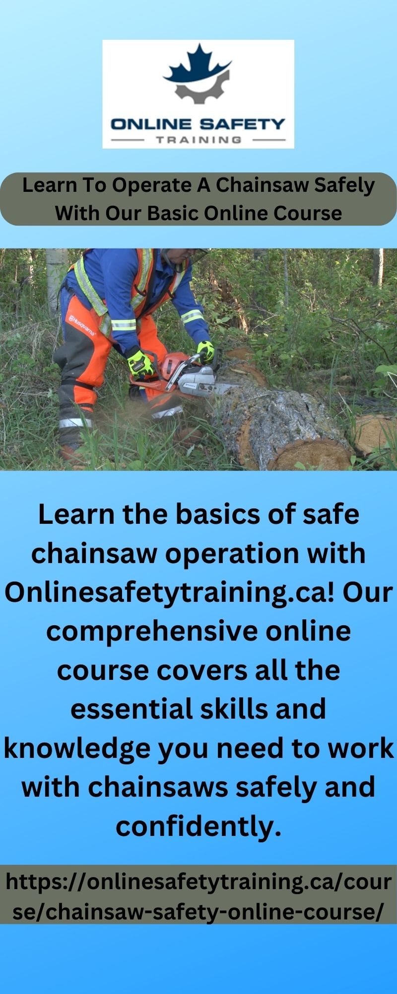 Learn To Operate A Chainsaw Safely With Our Basic Online Course by