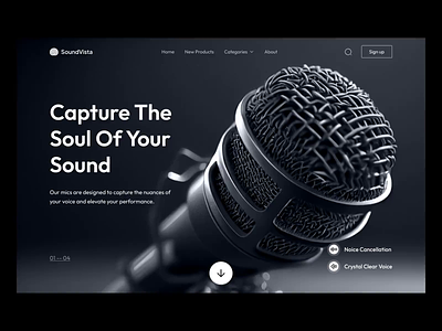 Sound Vista - Landing Page Design animation app design flat modern ui ux