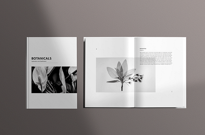Typography Book Design book book design design graphic design indesign layout layout design magazine magazine layout print print design type typography vector zine