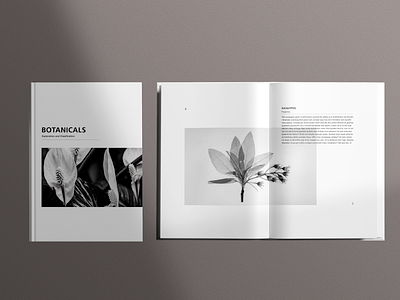 Typography Book Design book book design design graphic design indesign layout layout design magazine magazine layout print print design type typography vector zine