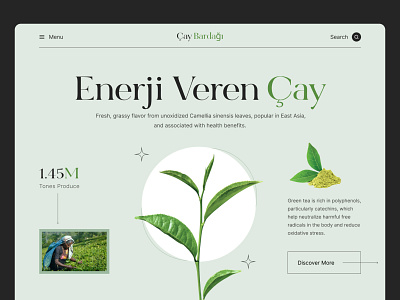 Tea Brand Website Landing Page Design app design chay homepage design landingpage design minimal design product design tea tea brand tea garden trendy design uiux design user experience design user interface design web design website design