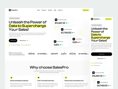 SalesPro - Sales Analytics Landing Page branding landing page layout responsive ui ux web