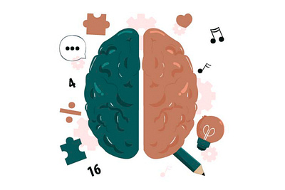 Brain Sides Concept Illustration anatomy brain creative human illustration memory mind science thinking vector