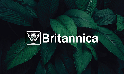 Britannica logo 3d logo brand identity britannica britannica logo business logo emblem logo graphic design logo design logo designer logo ideas logo maker logo portfolio logo trends logo unique minimalist logo pictorial logo professional logo software logo website logo wordmark logo