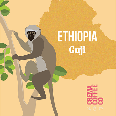 Coffee Card For Single Origin Ethiopian Coffee Beans branding design graphic design illustration typography vector