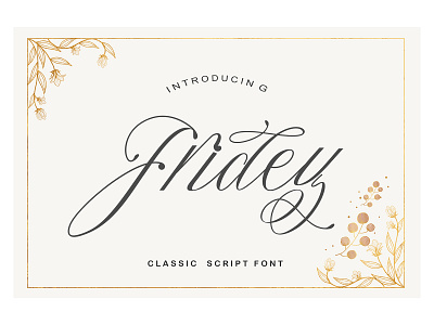 Fridey Font illustration