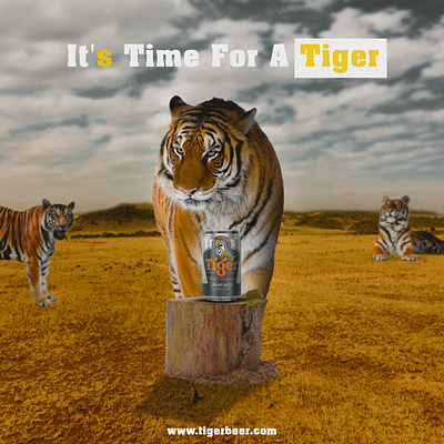 Tiger beer advertisement design advertisement creative graphic design tiger beer