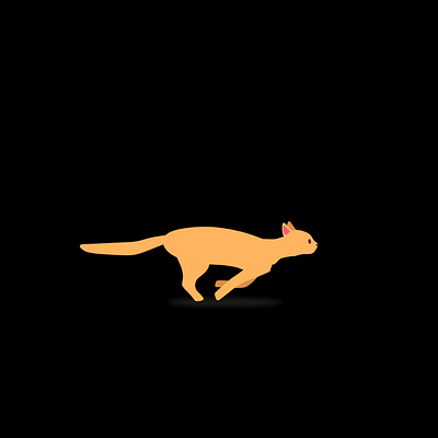 running cat 2d after after effect animation motion graphics