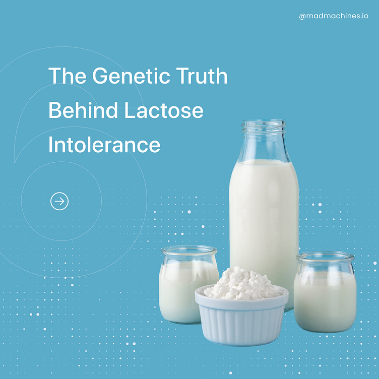 THE TRUTH BEHIND LACTOSE INTOLERANCE by mad machines on Dribbble