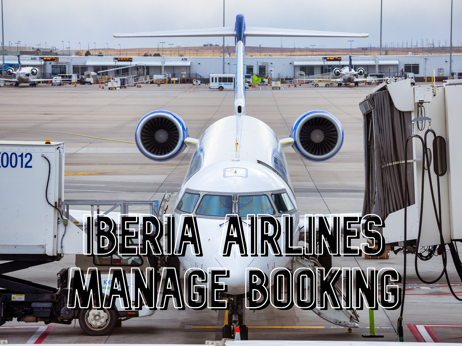 iberia-airlines-manage-booking-my-bookings-tripohlz-by-john-sen-on