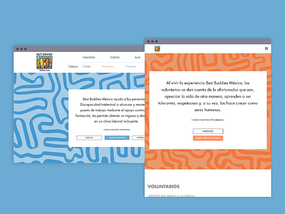 Best Buddies | Responsive layout design responisve responsive layout ui web web design webdesign
