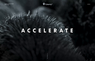 Celerity 9 — Logo & Hero Concept art direction branding experiential interaction design logo microscope typogaphy ui ux web