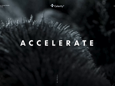 Celerity 9 — Logo & Hero Concept art direction branding experiential interaction design logo microscope typogaphy ui ux web