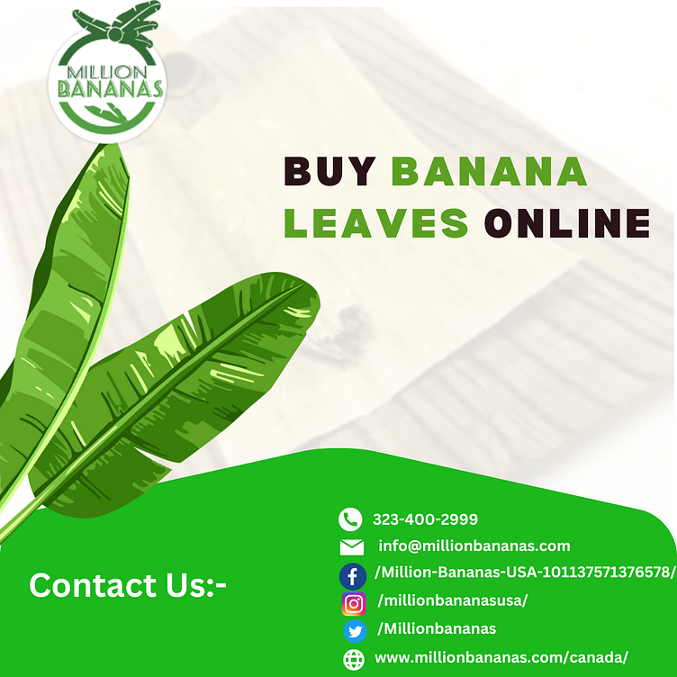 Buy banana leaves by Millionbananas on Dribbble