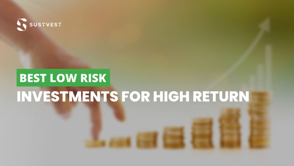 Best Low Risk Investments By Sanam On Dribbble