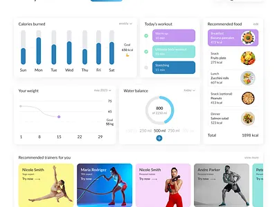 HealthyU User Dashboard: Analytics UX dashboard design fitness ui user dashboard ux web design