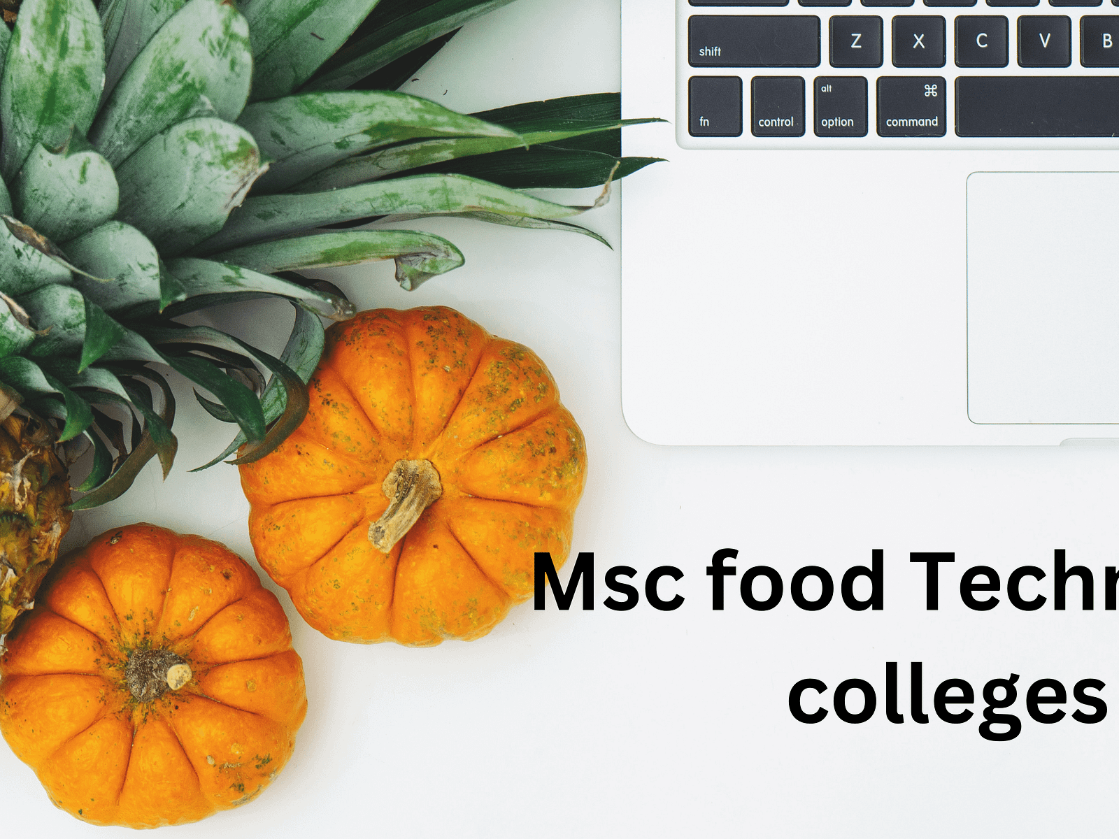 what-is-the-duration-of-the-msc-food-technology-program-in-these-by-seo