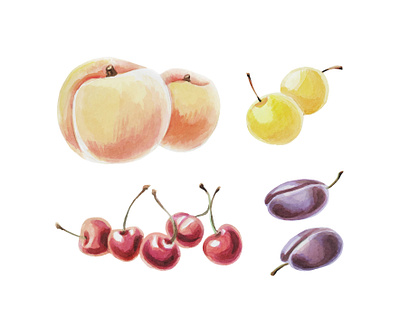Watercolor hand-drawn set of fruits and berries. berry graphic design juicy vegetarian watercolor