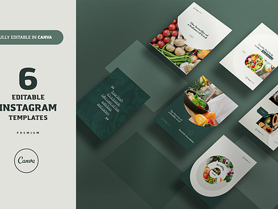 Nutrition - Instagram Canva Template canva social media canva template graphic design instagram nutrition nutrition post nutrition template social media social media template template canva