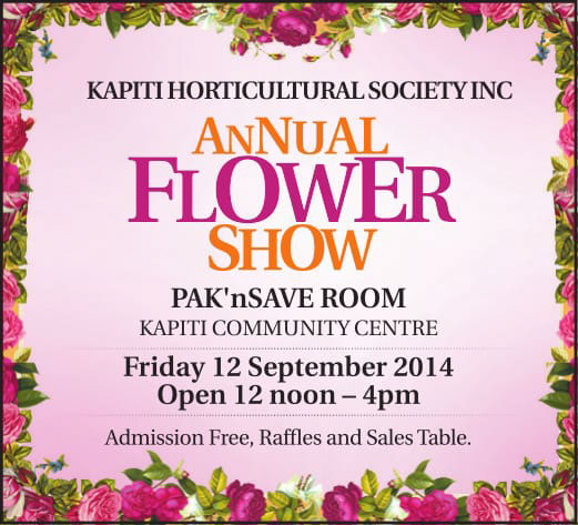 Six Type of Posters graphic design