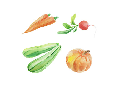 Watercolor hand - drawn set of vegetables. freshness juicy plant vegetable watercolor