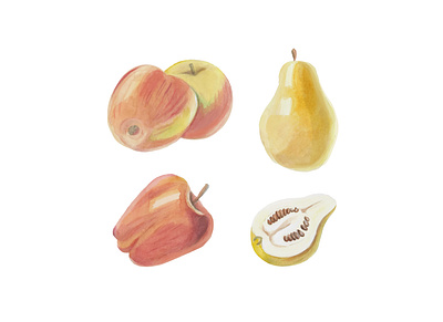 Watercolor hand-drawn fruit set. Apples and pears illustration. apple colorful fruit pear yellow