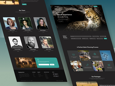 Safari Travel Agency Template Design agency design interface safari safari travel template template design travel ui ux web
