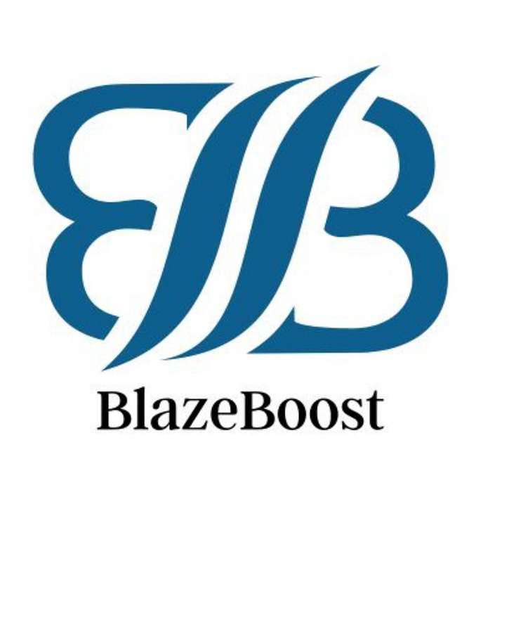 blazeboot-logo-by-ahmad-tarar-on-dribbble