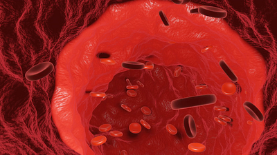 RBCs flowing in blood vessel 3d animation blender3d human microbiology medical animation medical design