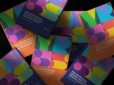 Boston Public Schools | Editorial Design data visualisation design graphic design illustration prints