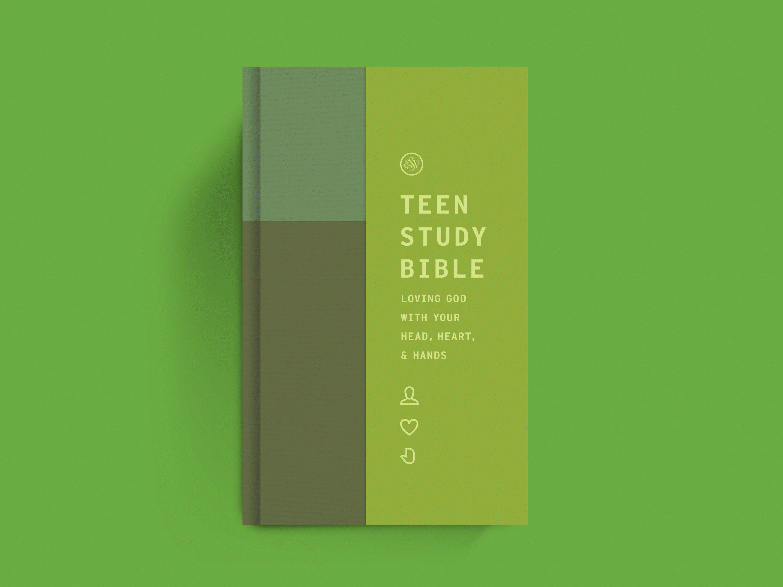 ESV Teen Study Bible Brand & Suite bible bold book branding bright christian church color design hand head heart icon illustration minimal simple teen texture youthful