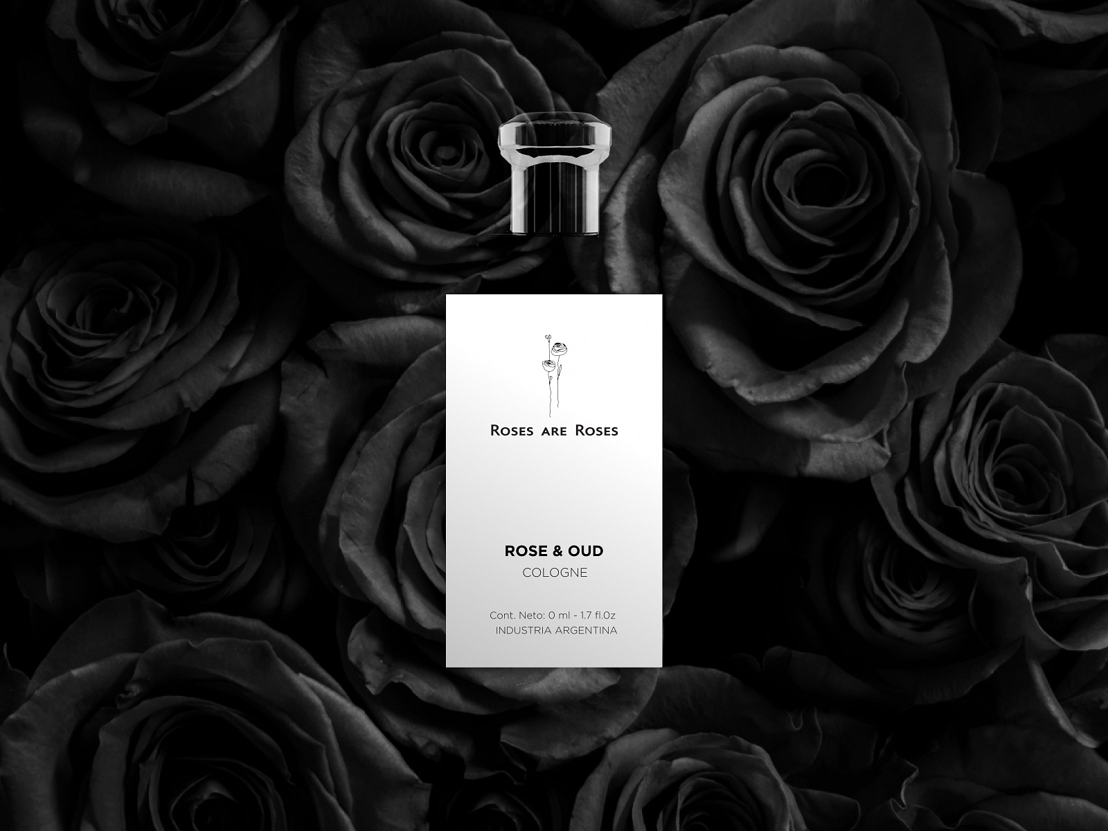 roses-are-roses-branding-by-coco-creativo-on-dribbble