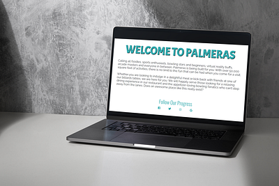 Palmeras Coming Soon Page - Writing Sample branding copy text website