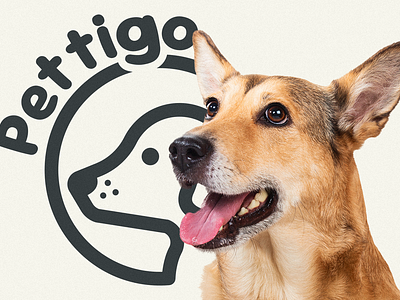 Pettigo - Pet Store branding cachorro cat design dog gato illustration ilustração logo marca pet pet store petshop symbol