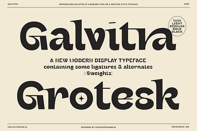 Galvitra Font calligraphy display display font font font awesome font family fonts graphic design modern font modern fonts sans serif sans serif font script serif font type typeface typography