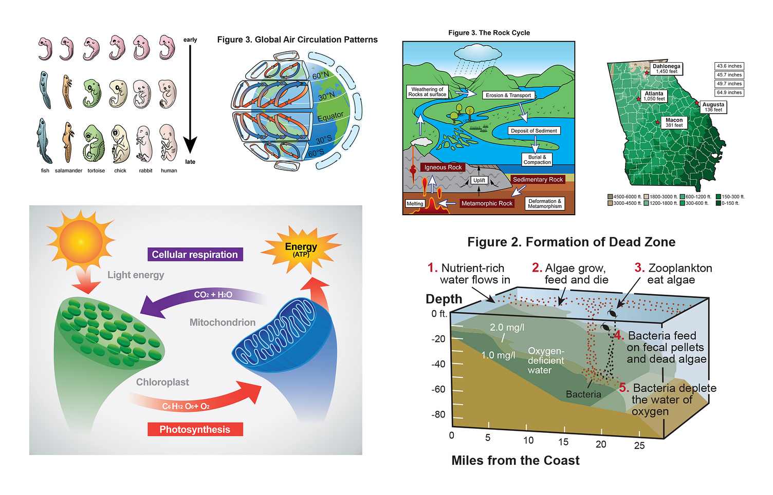 Scientific Illustration Collection by Andre Adams of Tradigital Designs on Dribbble