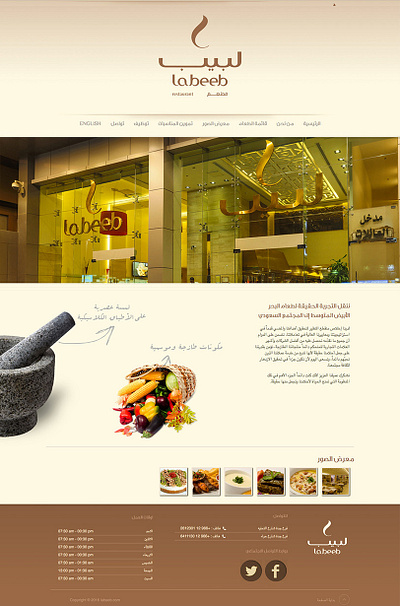 Labeeb Website web design