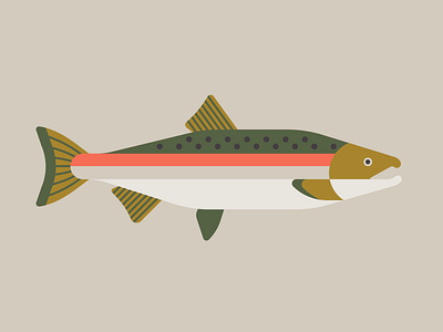 Coho coho fish fishing graphic design green illustration illustrator oregon pink pnw salmon swim vector washington yellow