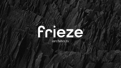 Frieze Architects architect brandidentity branding businesscard color palette concept design graphic design logo