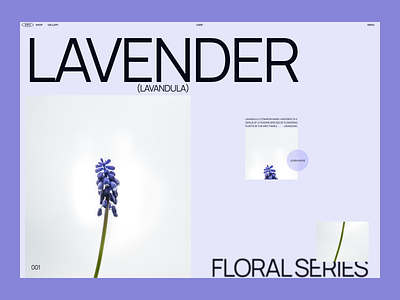 Lavender - Website Concept ecommerce flower front end development landing page lavender minimal nature ui web design website