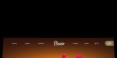 Plaisir new digital identity anima branding design hero pastry plaisir prototype ui ux website