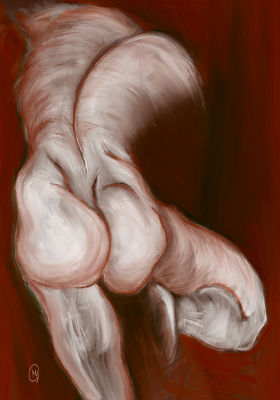 Studio di anatomia anatomy artwork body digital painting fine art human illustration painting procreate