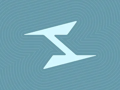 S Symbol branding graphic design logo s s letter