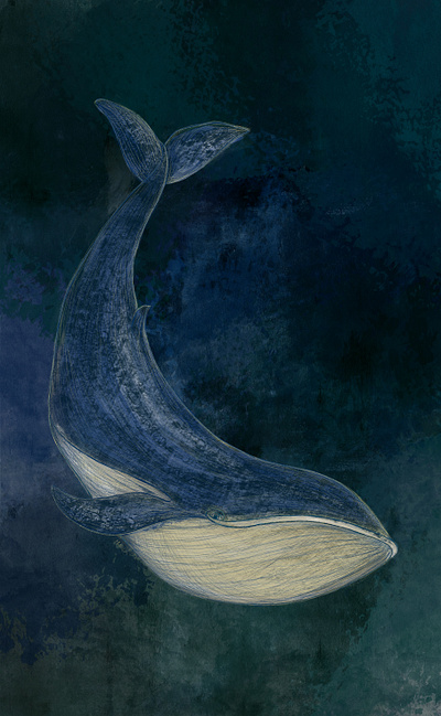 Whale abyss artwork digital painting fine art illustration ocean procreate sea whale